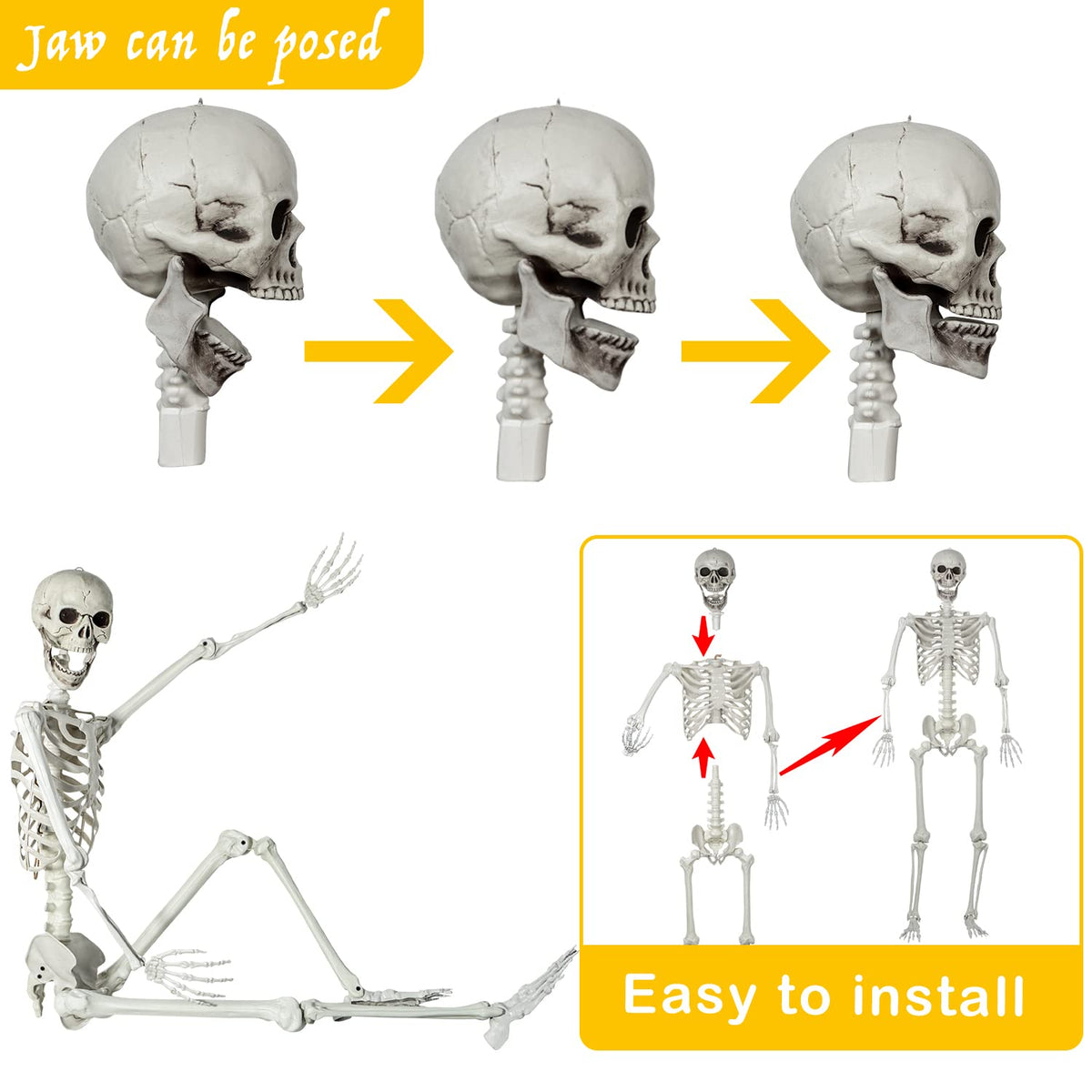 Life Size Skeleton with Posable Joints C504876