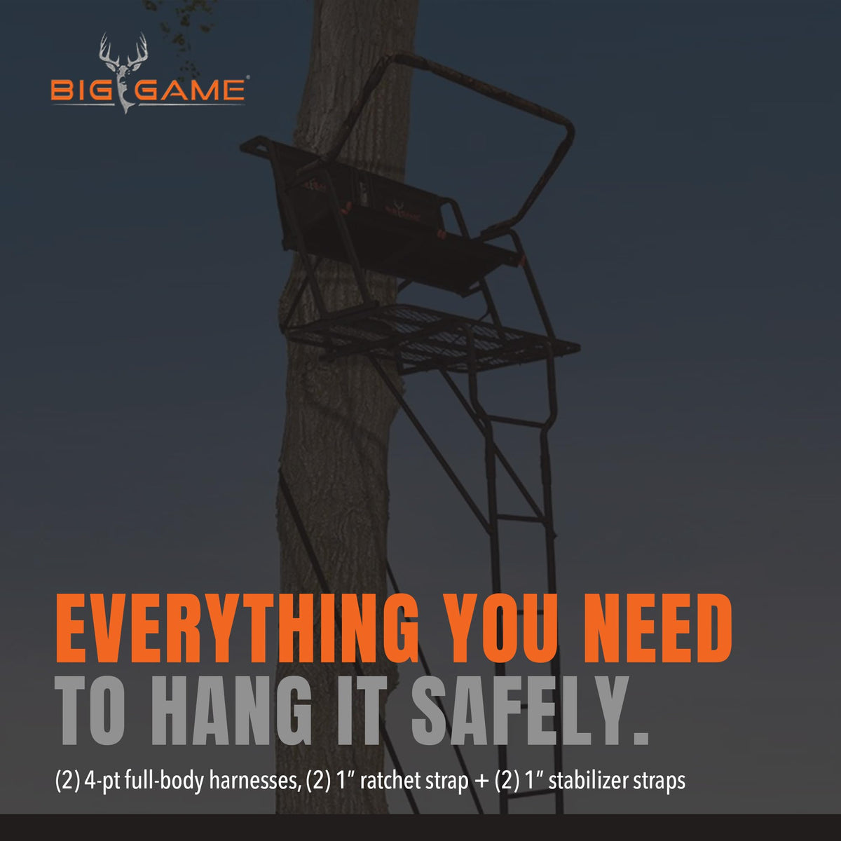 Ladder Tree Stand C79421