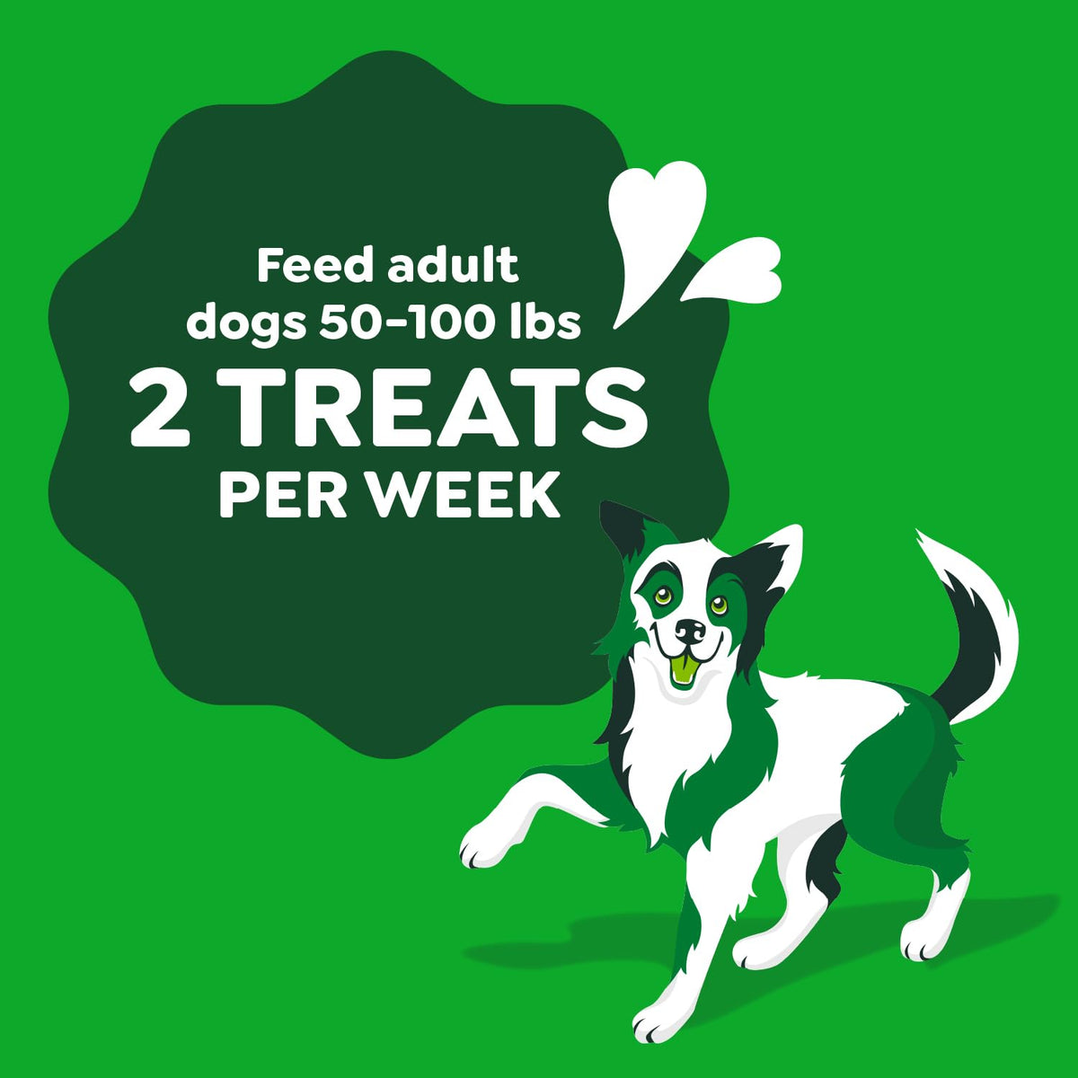 Chicken Flavor Dog Treats, 4 Count P610