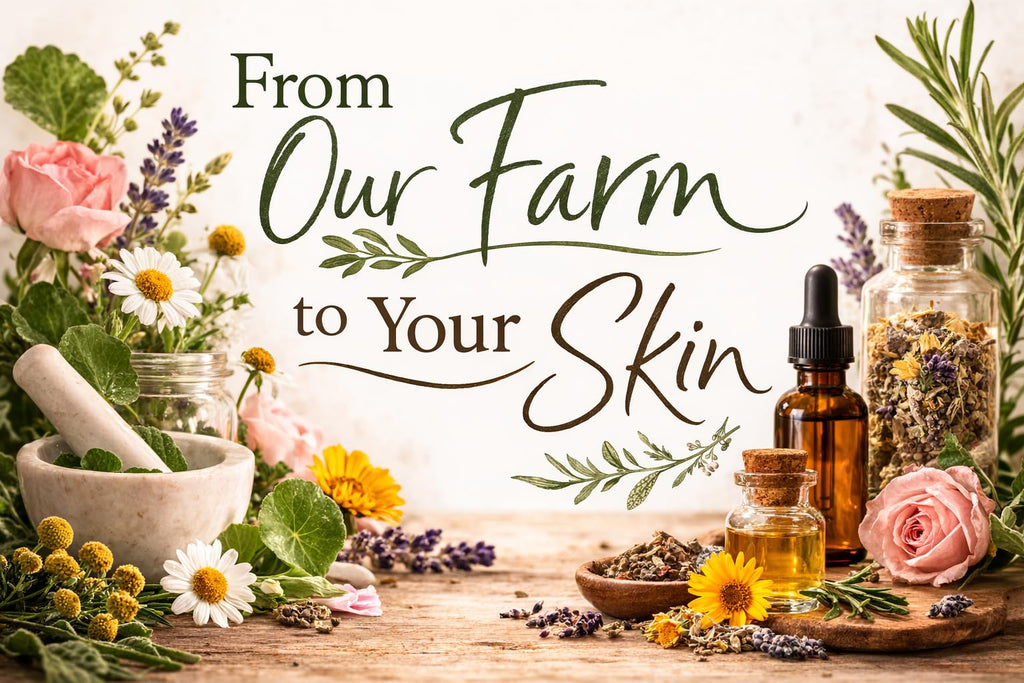 Firming Face Oil with Spilanthes & Gotu Kola, 1 oz R628
