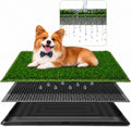 3 Layer Dog Grass Pad with Tray 30" x 20" B756001