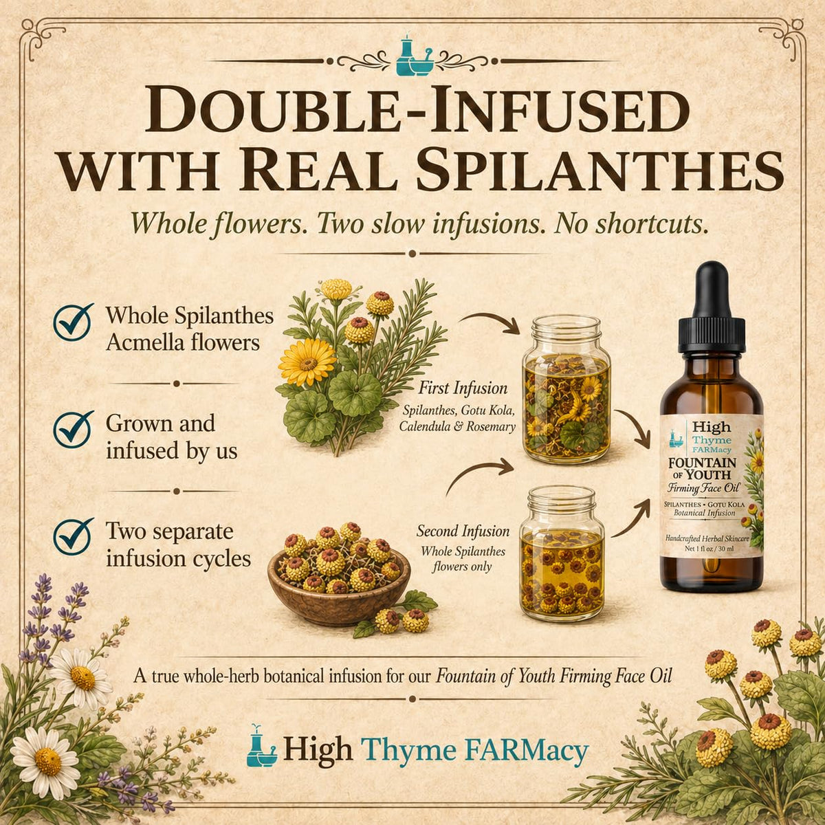 Firming Face Oil with Spilanthes & Gotu Kola, 1 oz R628