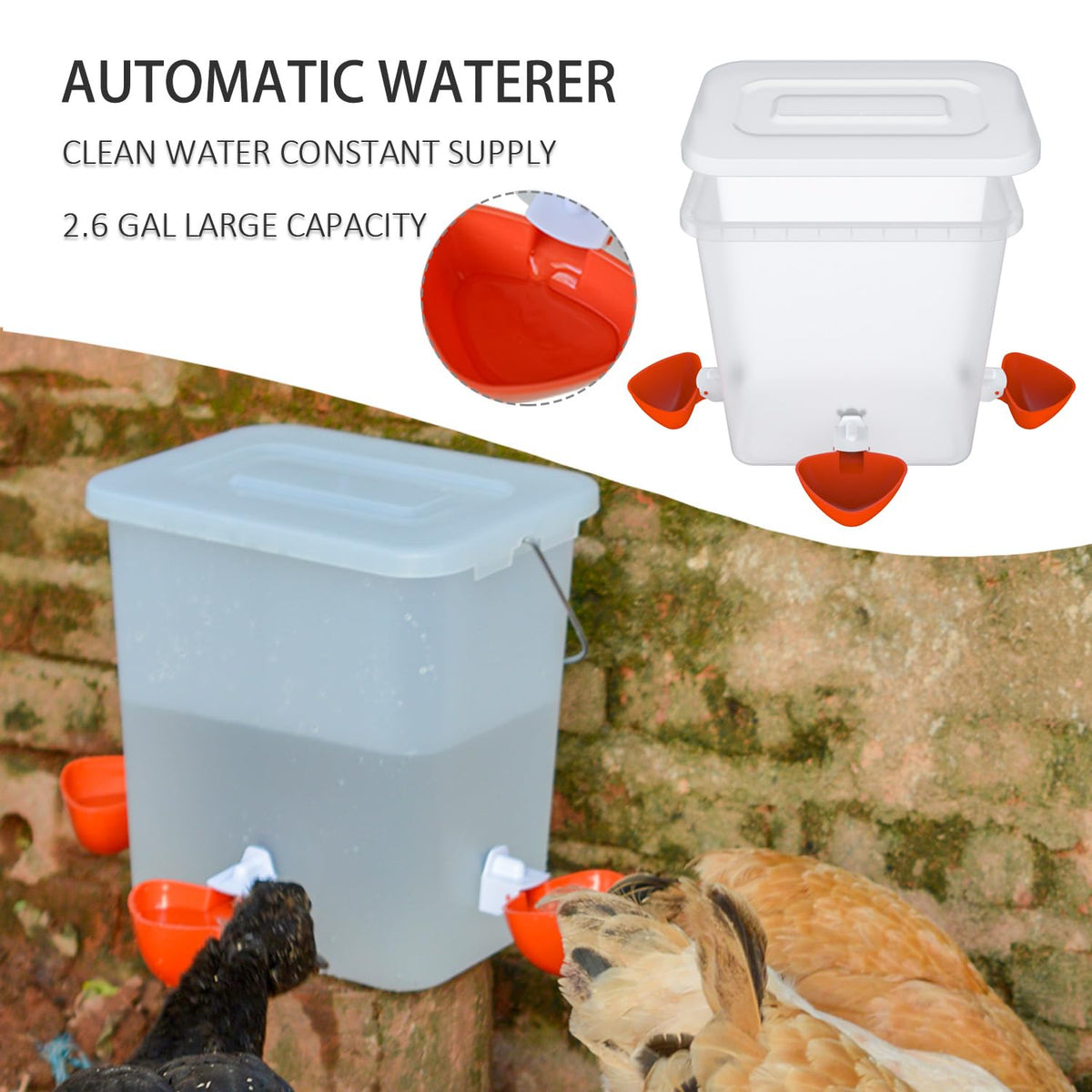 Automatic Chicken Feeder & Waterer Set K764342