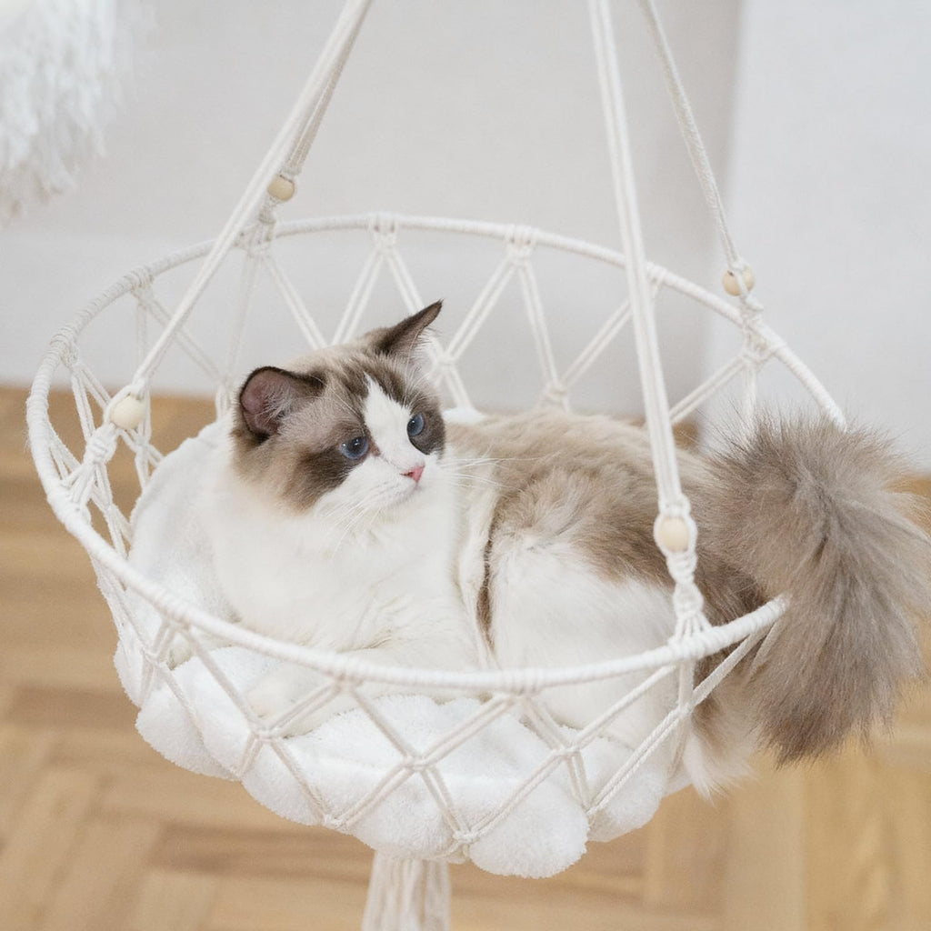 Solid Wooden Cat Tree Q5670
