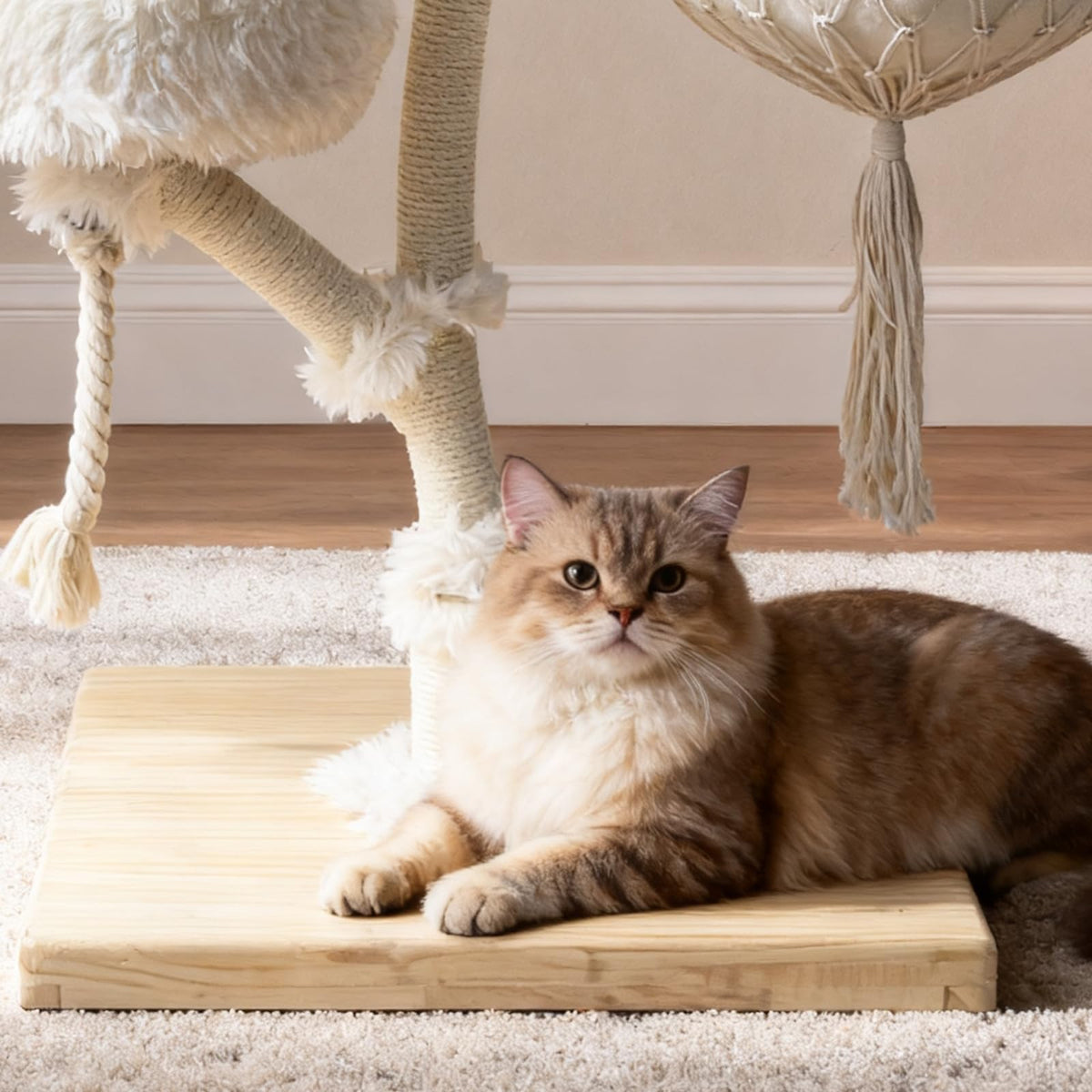 Solid Wooden Cat Tree Q5670