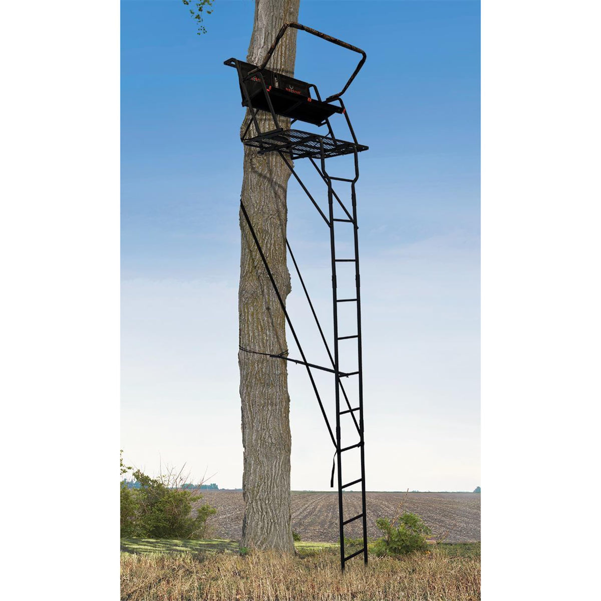 Ladder Tree Stand C79421