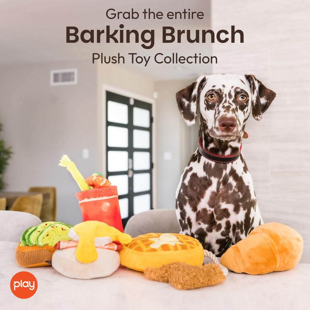 Plush Dog Chew Toy F293623