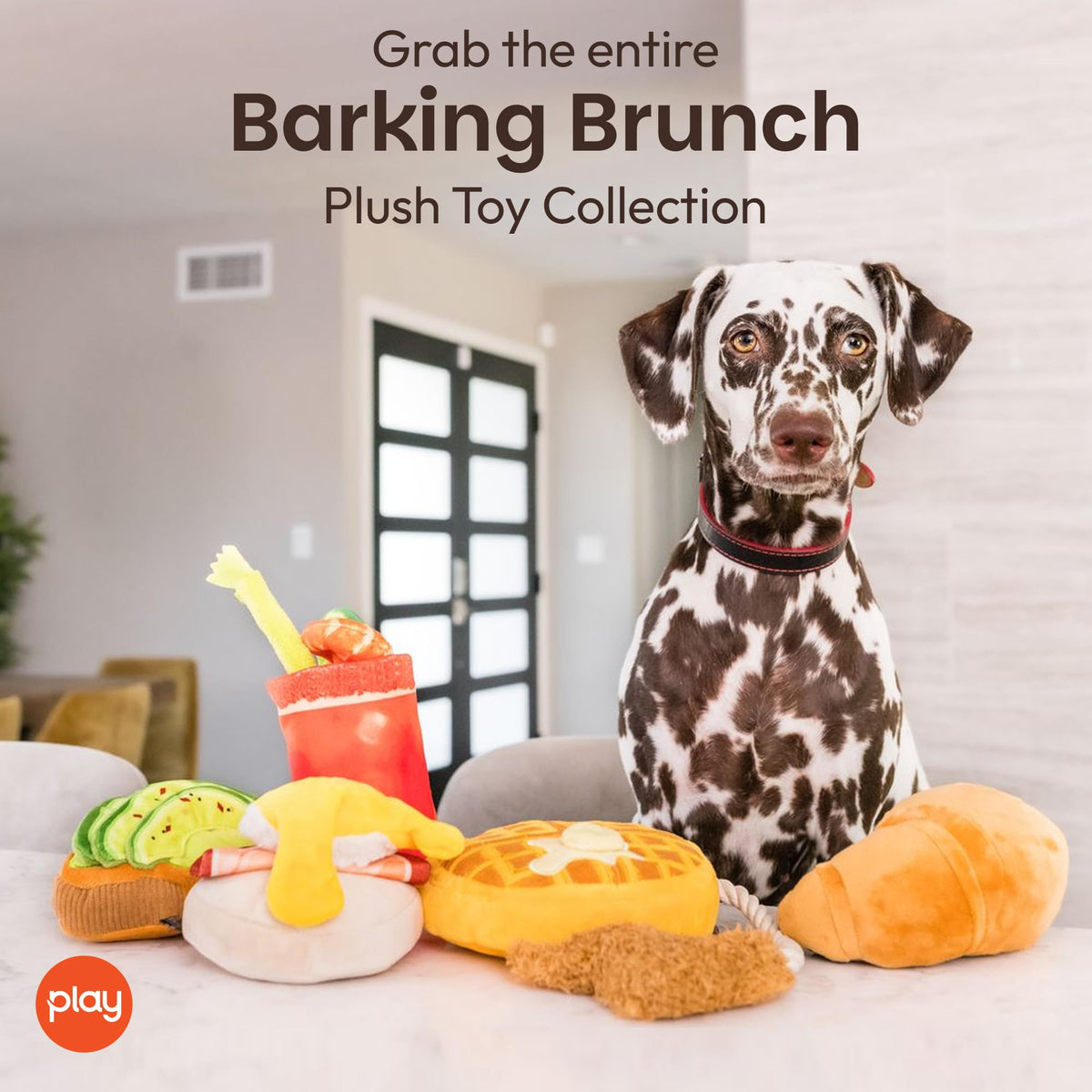 Plush Dog Chew Toy F293623