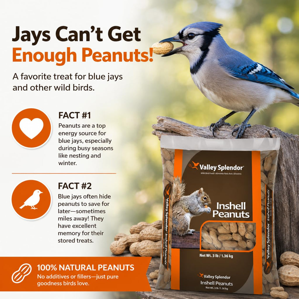 Peanuts In A Shell 3lbs Y615