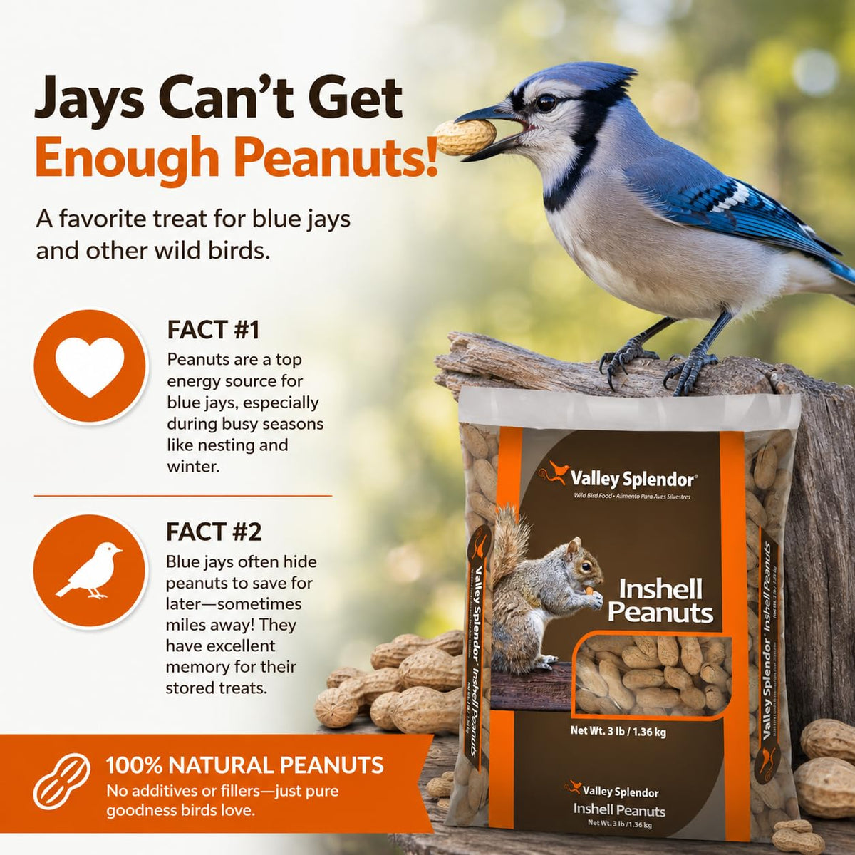 Peanuts In A Shell 3lbs Y615