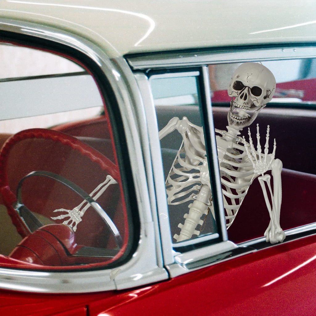 Life Size Skeleton with Posable Joints C504876