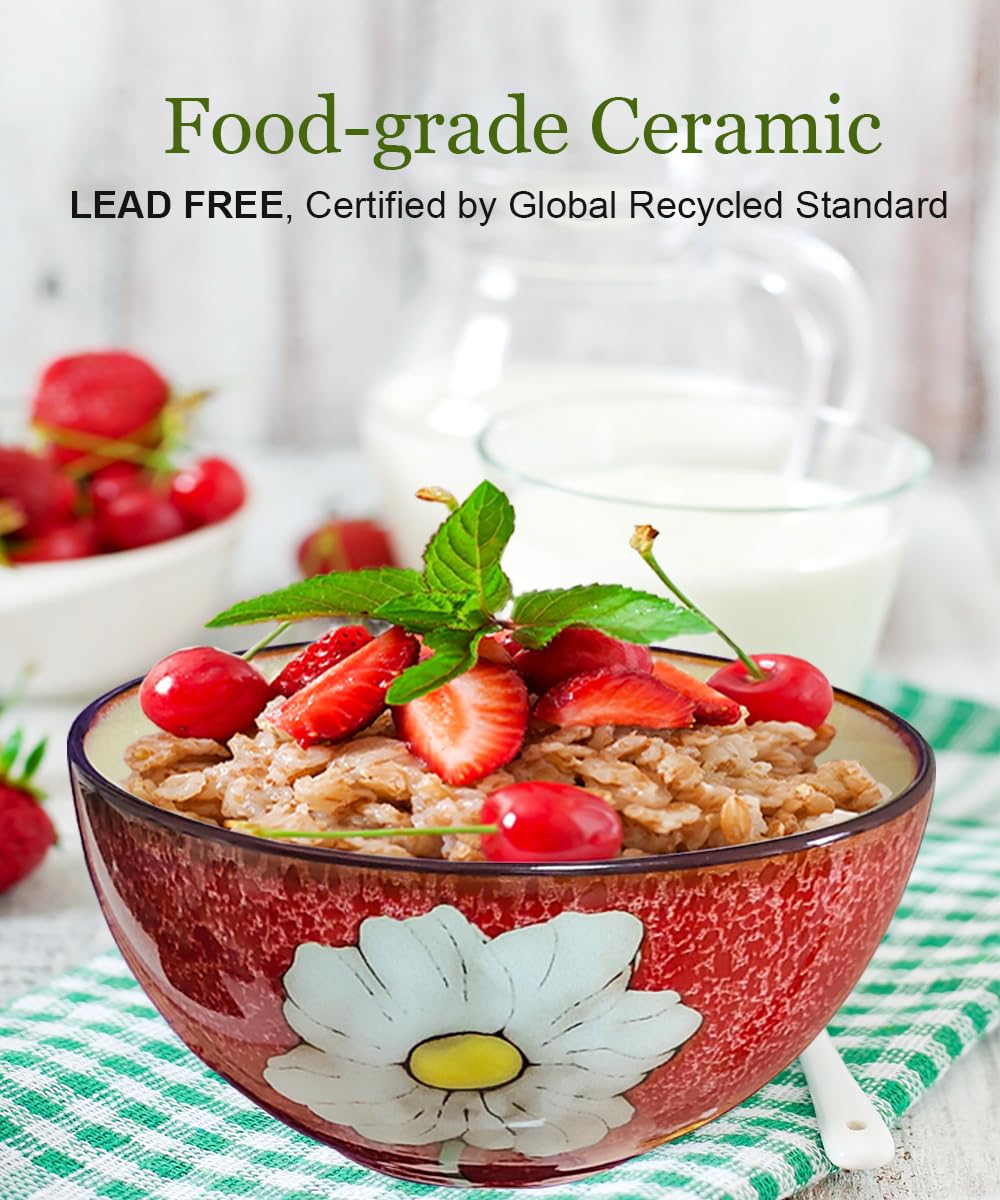 Ceramic Cereal Bowl Set of 4, 28oz Floral Pattern, Microwave Safe L588