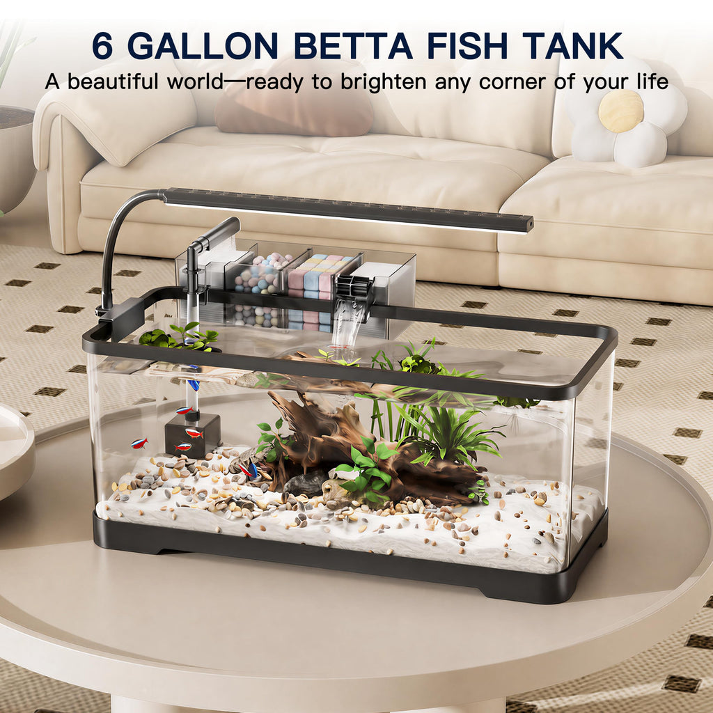 6 Gallon Betta Fish Tank I53339