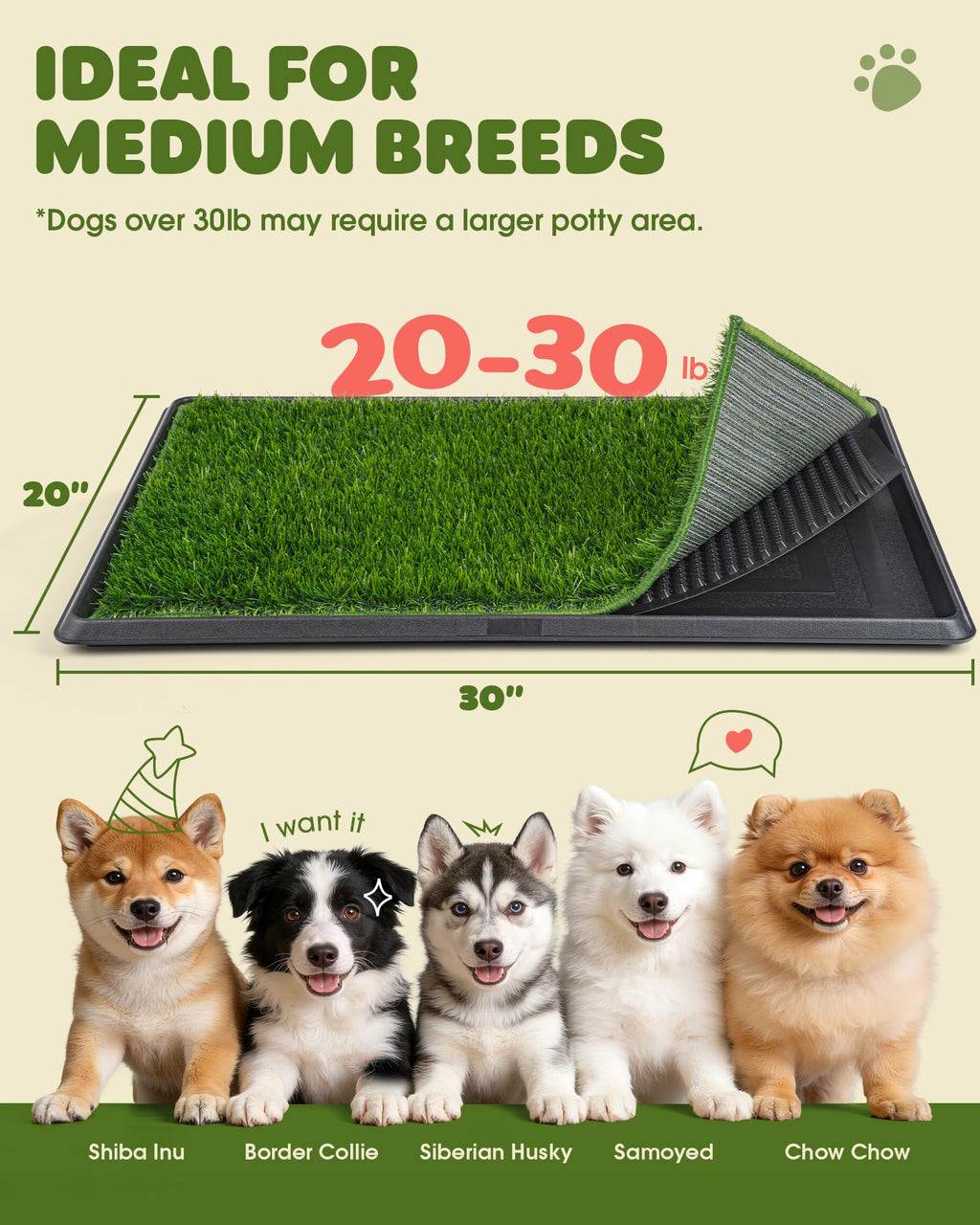 3 Layer Dog Grass Pad with Tray 30" x 20" B756001