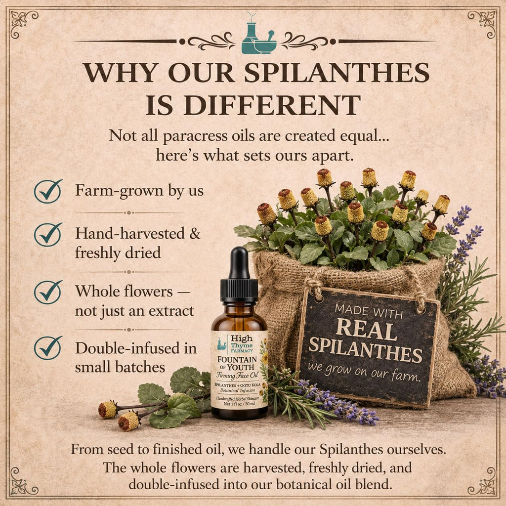 Firming Face Oil with Spilanthes & Gotu Kola, 1 oz R628