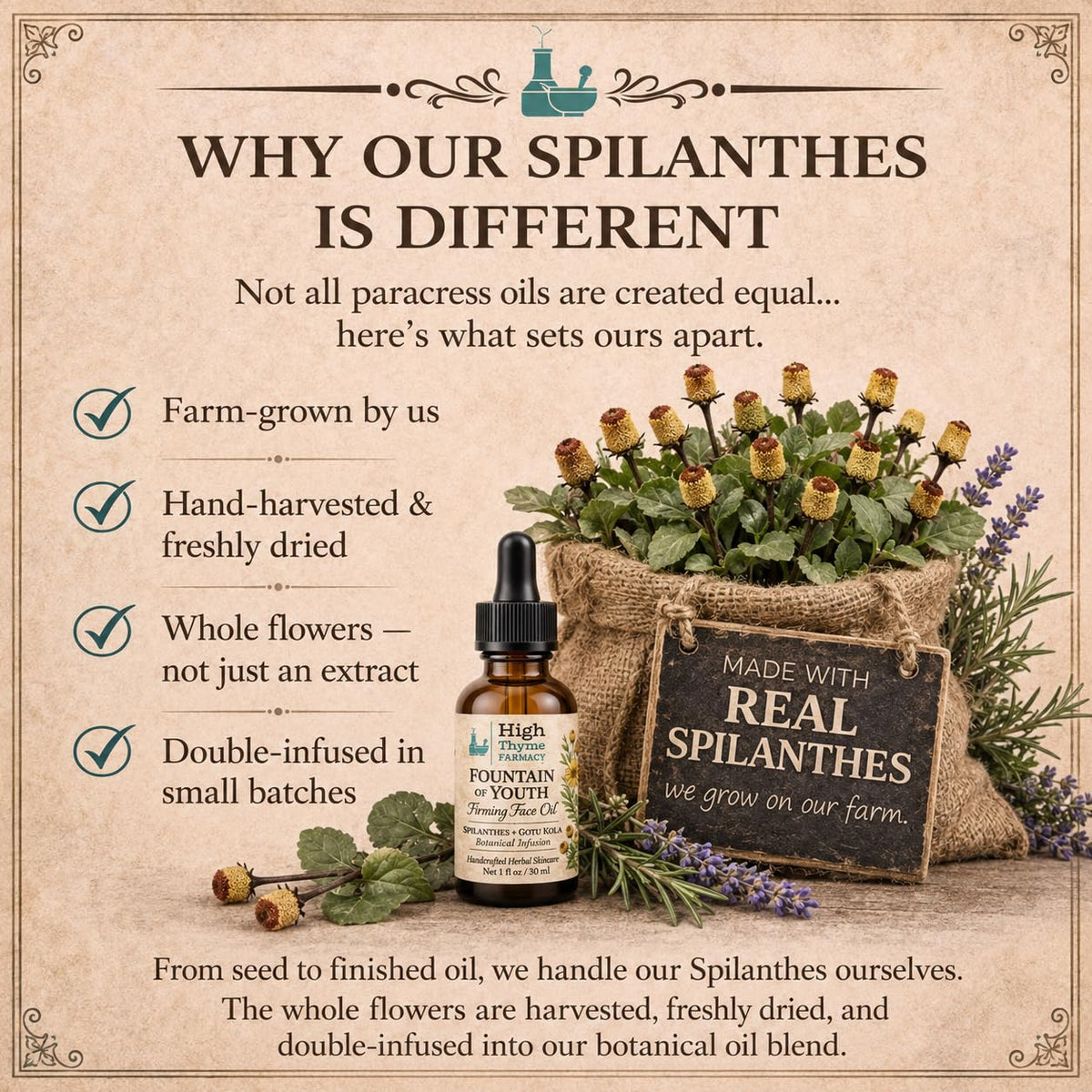 Firming Face Oil with Spilanthes & Gotu Kola, 1 oz R628