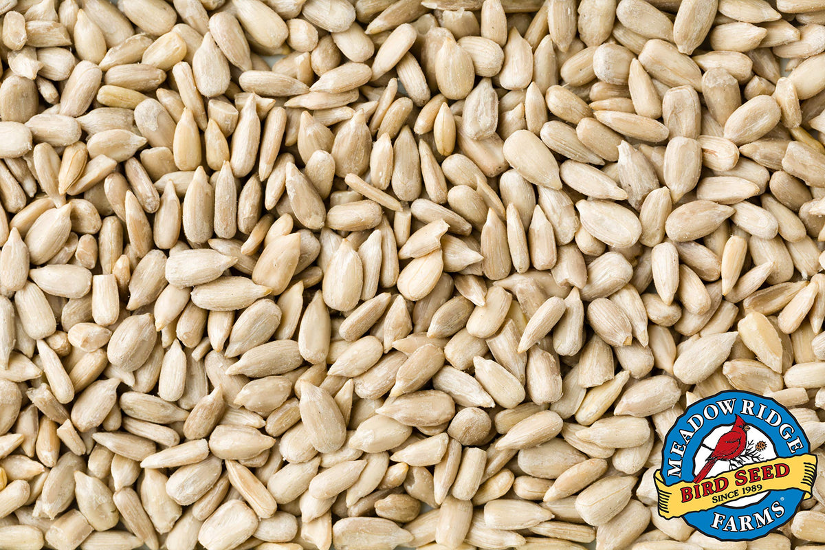 Wild Bird Seed 20-Pound Bag R97016