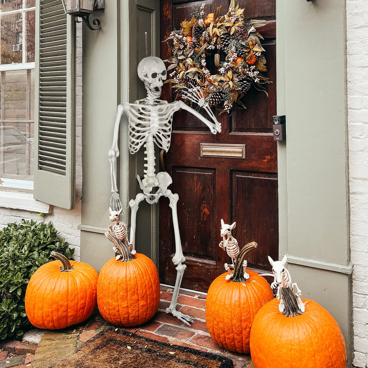 Life Size Skeleton with Posable Joints C504876